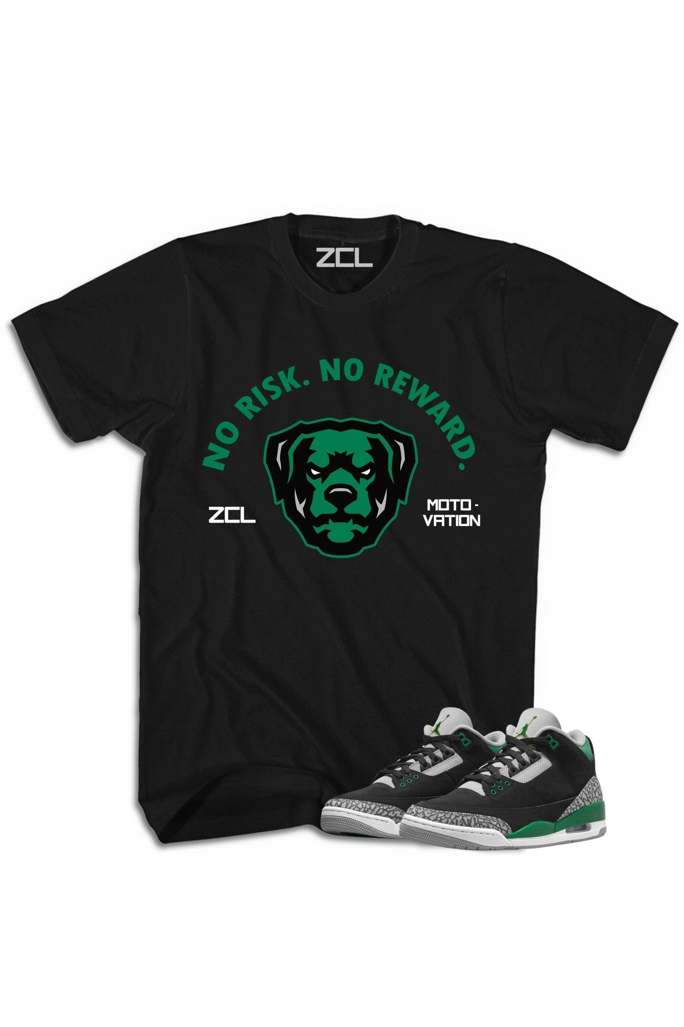 Air Jordan 3 "No Risk No Reward" Tee Pine Green