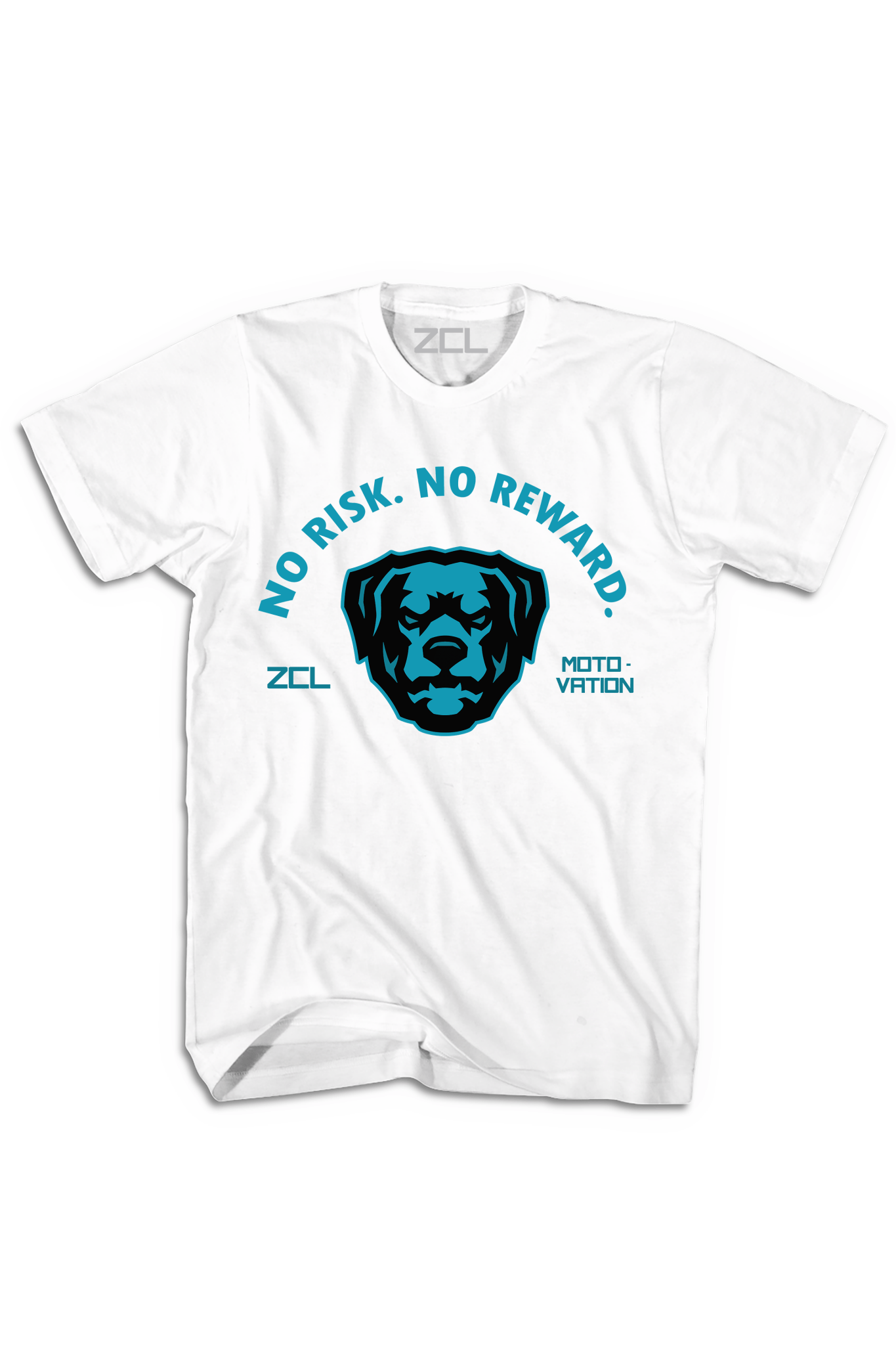 Solid Hookup "No Risk No Reward" Tee (Teal)